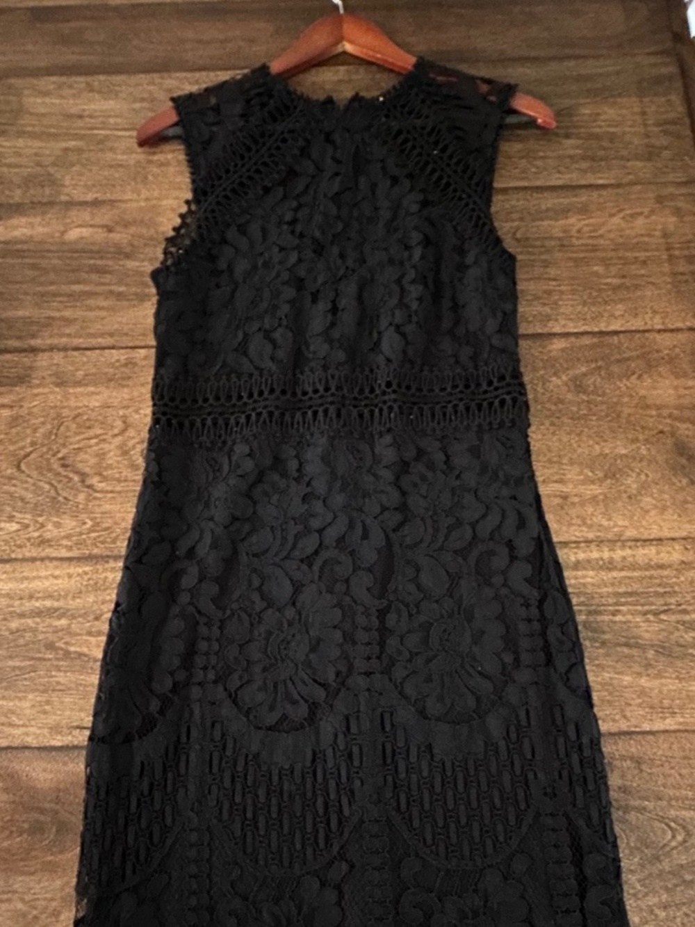 Little black lace dress.  Elegant.  Read about size.